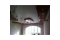 NowCeiling